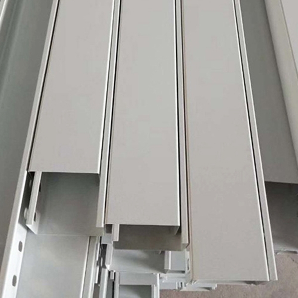 Wangji tray production line